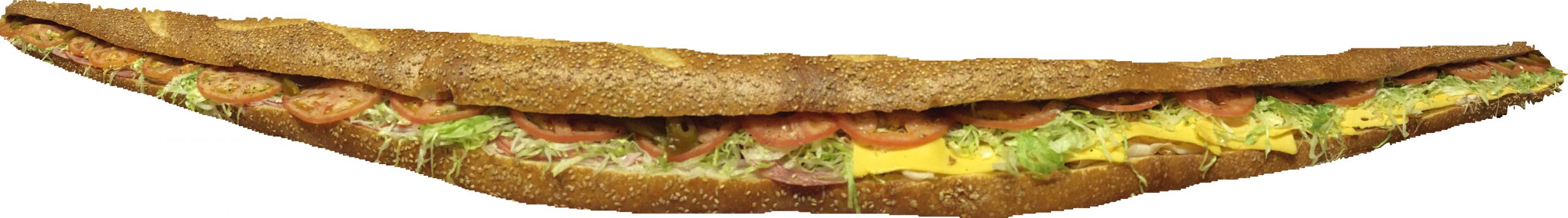 SixFootSubPanoramicCrop